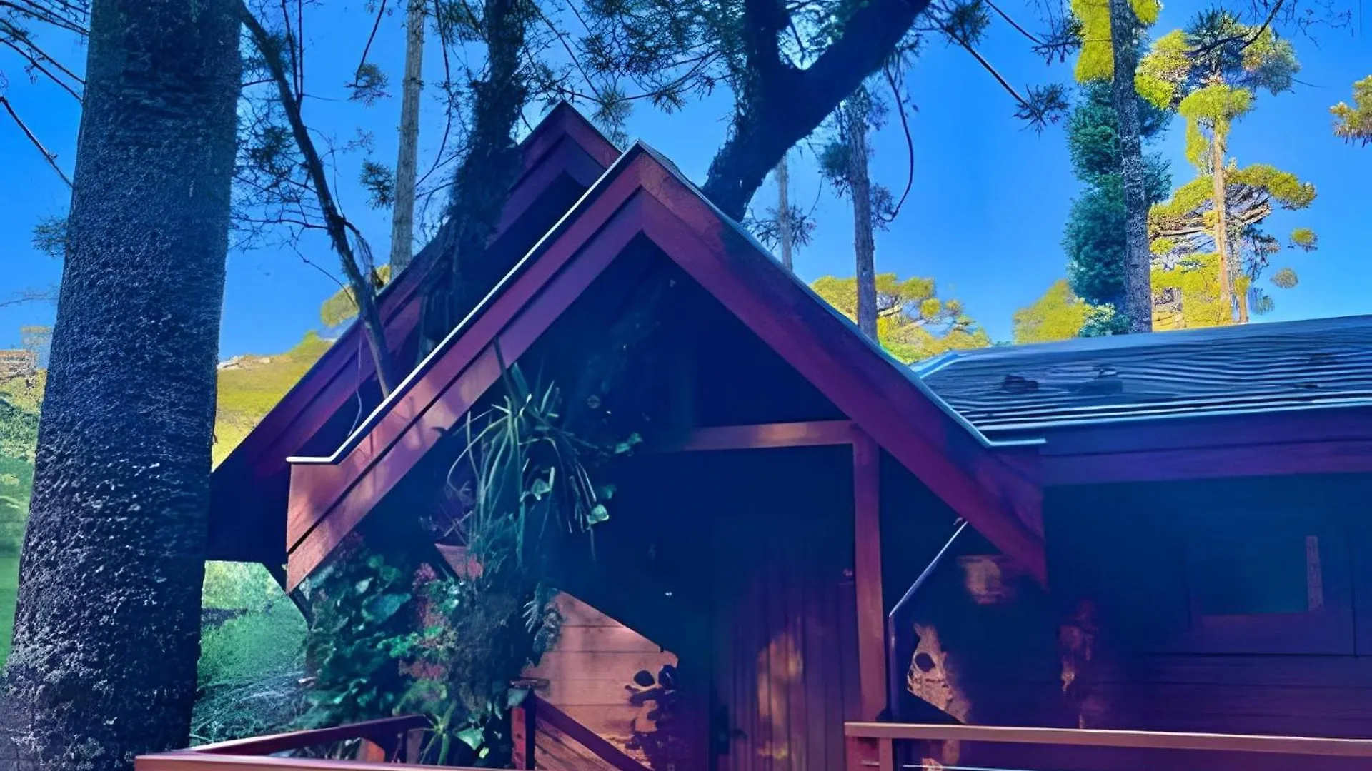 Cabana Suspensa Na Natureza - Regiao Turistica Campos do Jordão Feriehus